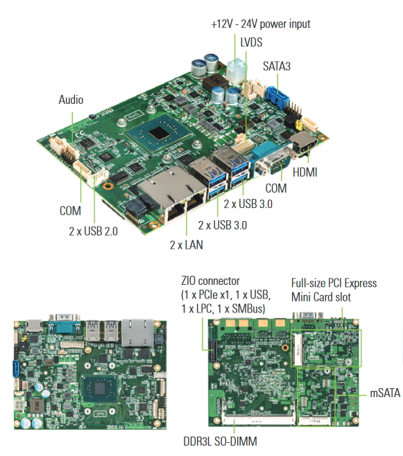 CAPA313