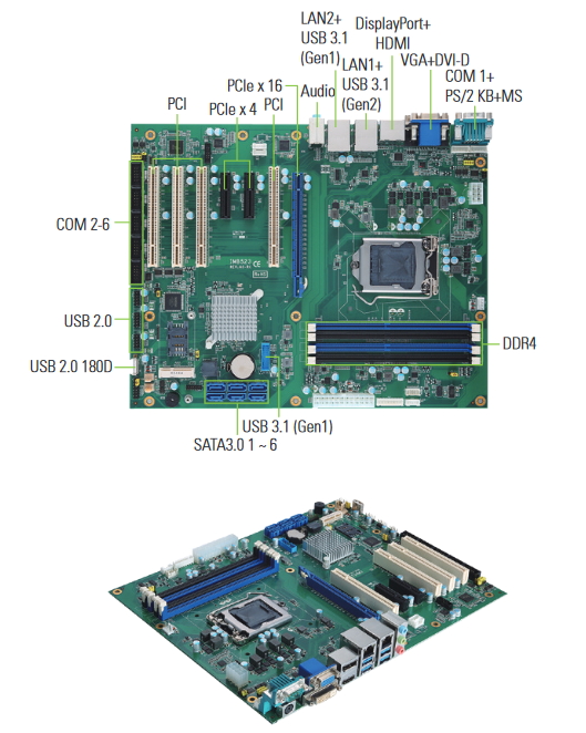 IMB523 