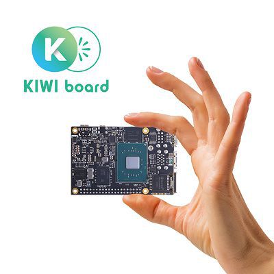 KIWI310
