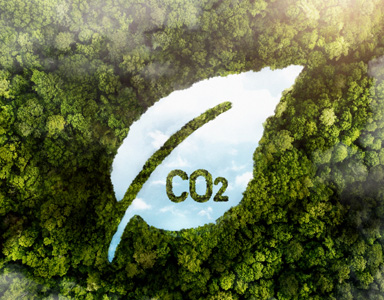 In today's business landscape, most companies are striving to achieve carbon neutral or even net zero. The initial crucial step in this journey is to effectively track the carbon footprints; howev...