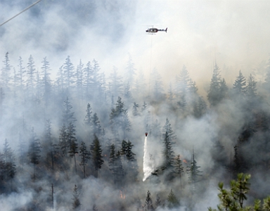 As climate change intensifies and the weather becomes hotter and drier, wildfires are expected to become more frequent and intense, with a global increase of extreme fires of up to 14 percent by 2030 ...