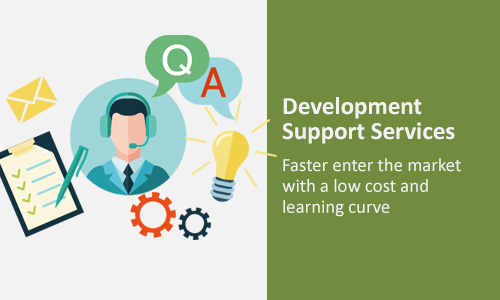 Development Support Services