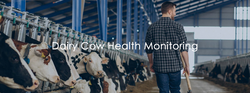Dairy Cow Health Monitoring