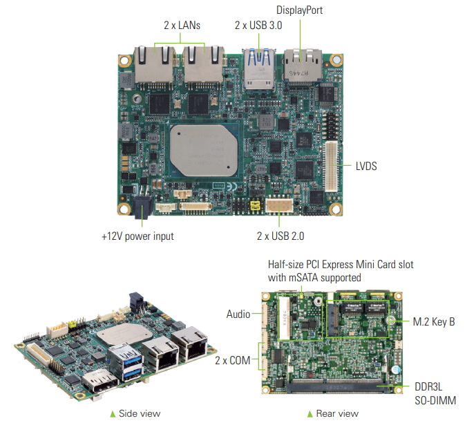 PICO319