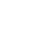 AI Solutions & Consulting